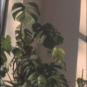 Meet your Posher, Davianna